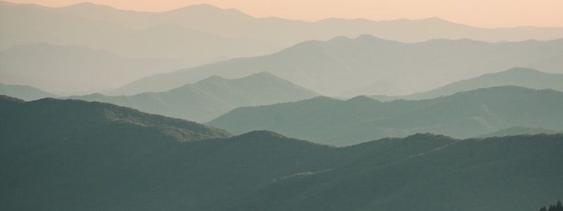 Content-Type 类型大全