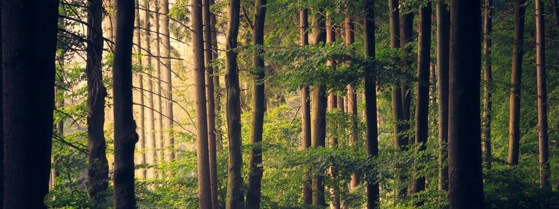 Mac 下安装 Homebrew