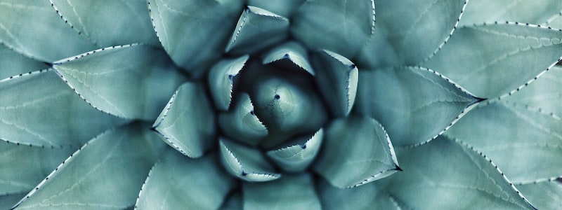 不蒜子网站统计的用法