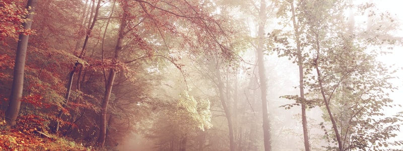 XML 中大于号和小于号的处理